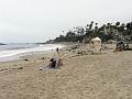 Newport Beach P1010790